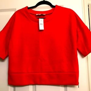 NWT! LOFT Cropped Short-Sleeve Sweatshirt